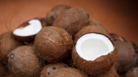 Кратък вегетариански речник, част II