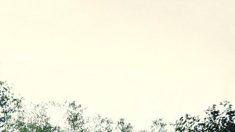 В имението на Кристина Агилера