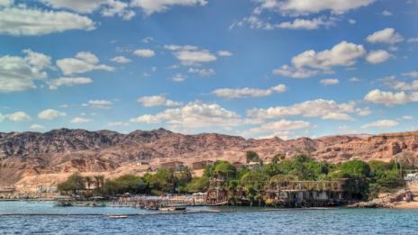 В Ейлат делфините ви канят в своя свят