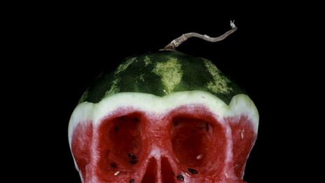 Плодове на борба с глада