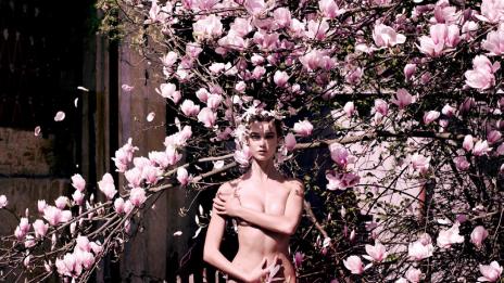 Изкуството Карли Клос