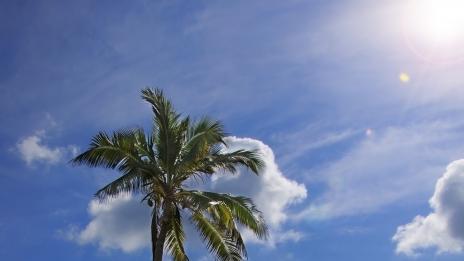 Любопитни факти за Куба – част втора