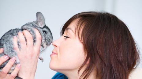 Четири уникални домашни любимци