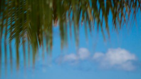 Каква е тайната на идеалната почивка?