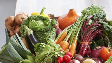 Вредите и ползите от зелената диета