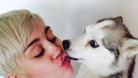 Майли Сайръс е в траур – любимото ѝ куче почина