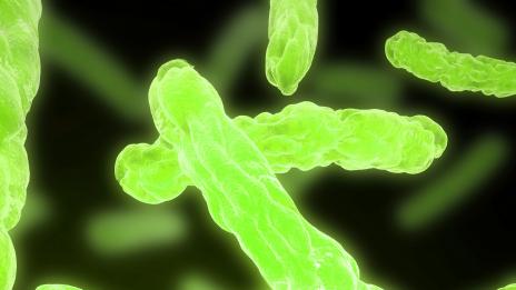 Човешкото тяло съдържа над 10 000 различни вида микроби