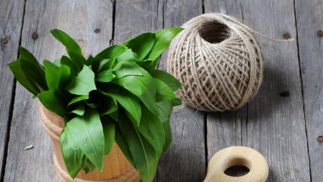 Див чесън – кои са полезните му съставки?