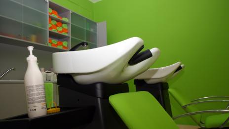 „Зелени Салони” на  нашите географски ширини