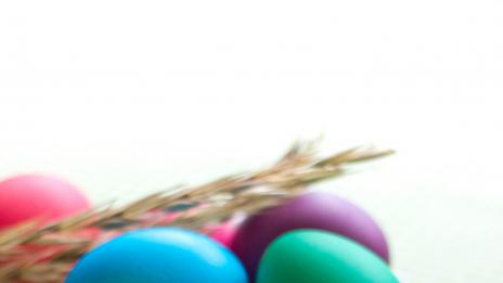 Колко яйца да ядем на ден?