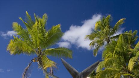 7 предложения за еко ваканция