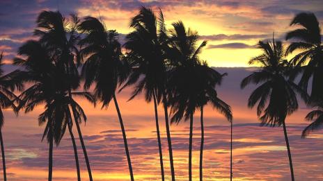 Пуерто Валярта – горещото място в Мексико