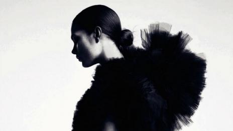 Черният лебед в нов прочит