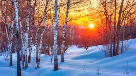Розови и червени залези: На какво се дължи романтичният феномен?