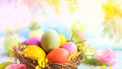 Преди Великден: Опасни ли са съставките на боите?