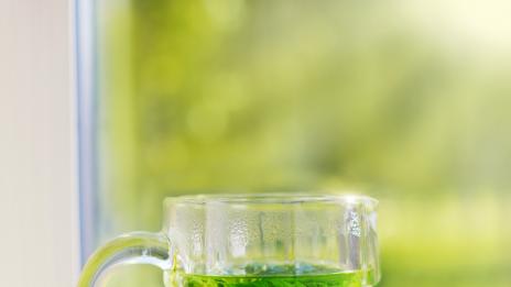 Силата на ментата