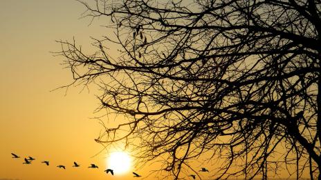 Хороскопът ви за 9 февруари