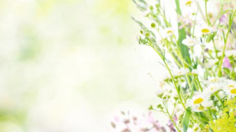 Честит празник на Константин и Елена!