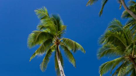 Интересни факти за Доминикана – част първа