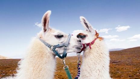 15 топ дестинации в Южна Америка