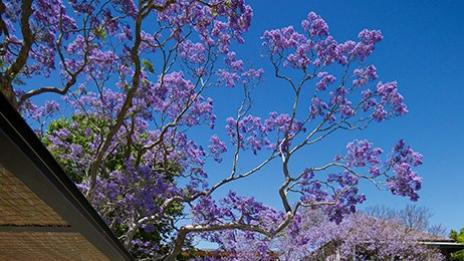 Домът на Кейт Бланшет и Андрю Ъптън в Сидни