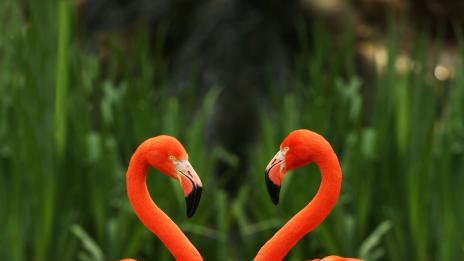 9 мита за сродните души (Част 2)