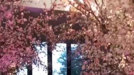 На гости  на бебешкото парти на Ким