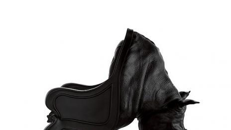 Животни като столове