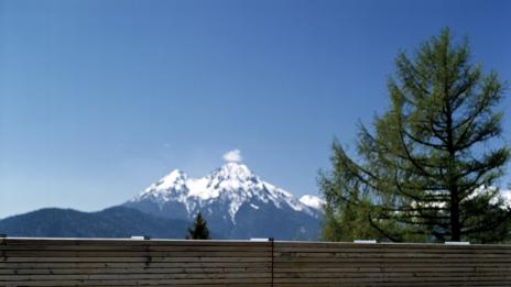 Стая за един, моля!