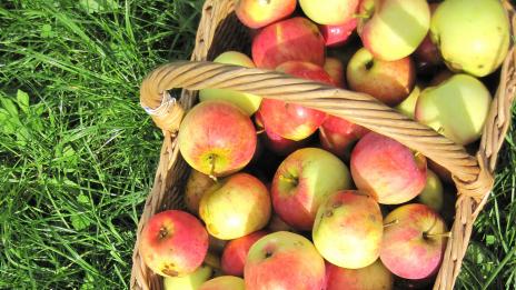 Ябълки и моркови за свеж дъх