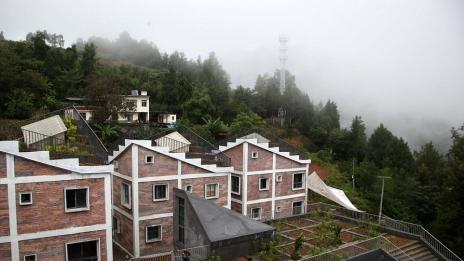 В Китай построиха къщи с ферма на покрива