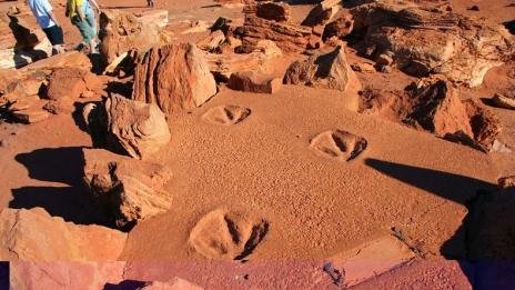 Мястото, където можете да стъпите върху динозавърски отпечатък