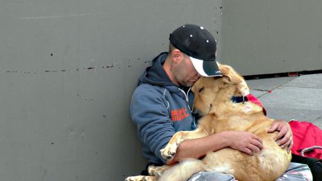 Защо кучето е най-добрият приятел на човека