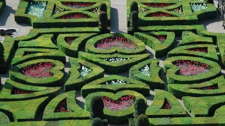 Истината за  любовта, пресъздадена в  една необикновена градина