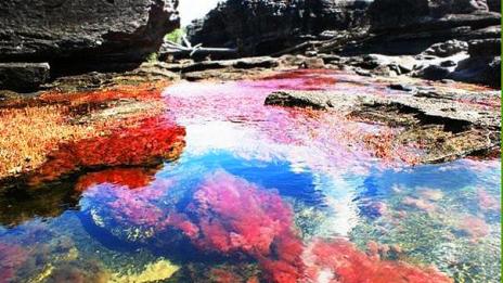 Реката с петте цвята