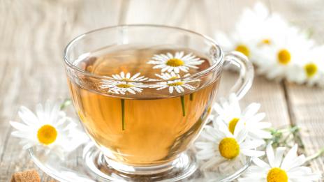 Защо лайката е позната като природен аспирин?