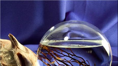 Бъдещето в една дума: Екосфера