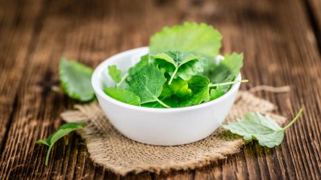 Маточина – билката, която успокоява