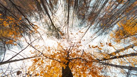 Хороскопът ви за 18 септември