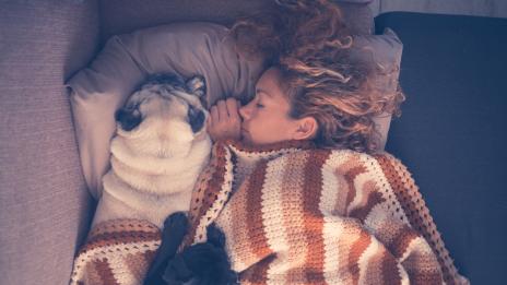 3 причини да спите с кучето си в едно легло