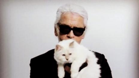 След смъртта на Лагерфелд: Каква ще е съдбата на неговата котка?