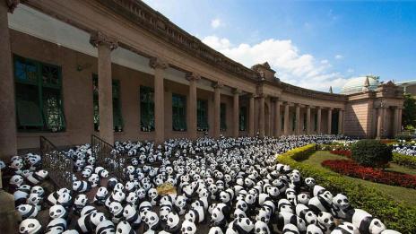 Нашествието на пандите