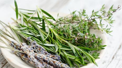 Традиционни билки срещу грипа