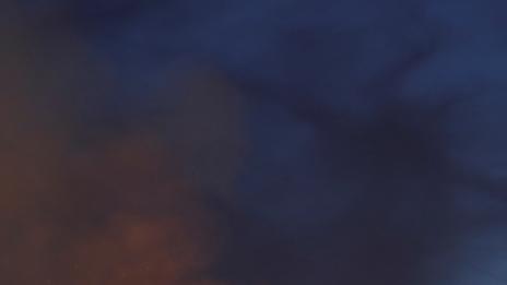 Художници помагат за реставрация на „Нотр Дам“