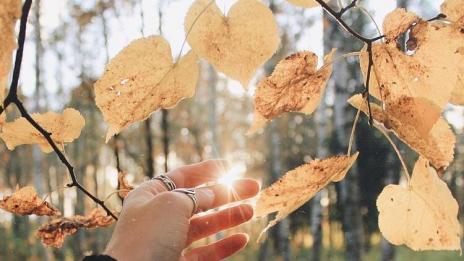 Хороскопът ви за 5 септември