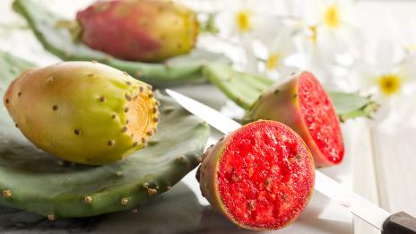 Бодлива круша за вашата трапеза