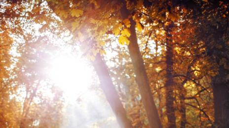 5 причини да се спрете на малка сватба