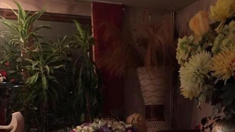 Чар или бедствие: Камелия чукна 46 само по... цветя