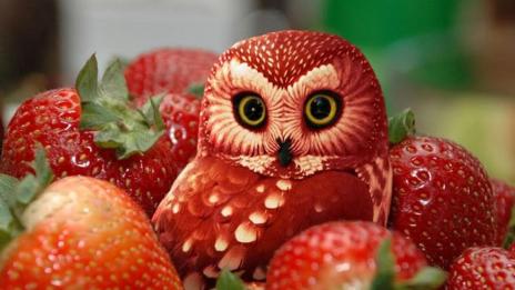 Изкуство от храна: Наслада за окото и небцето