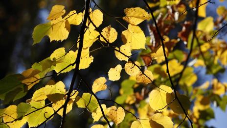 Хороскопът ви за 26 октомври